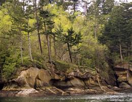 Southeast shoreline of Rolfe Cove