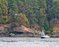 Stuart Island with a Geodesic Dome almost hidden in the trees.