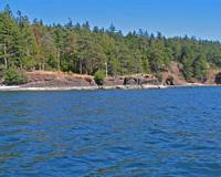 Coastline just East of Bedwell. perfect for dingy exploration.