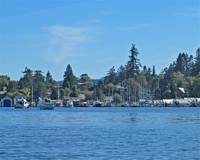 Genoa Bay Marina in the August sunshine.