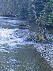 North Fork of the Snoqualmie